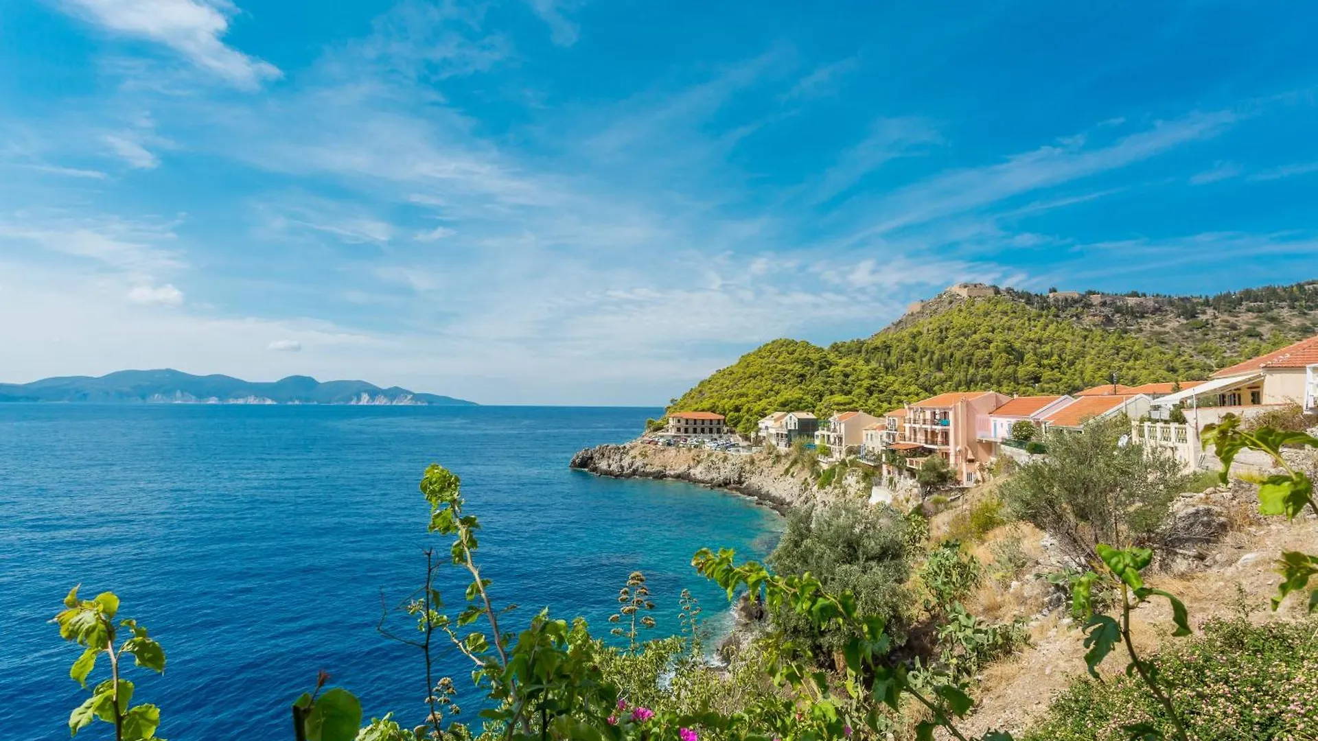 Cavos Inn Apartments Kefalonia Asos Gæstehus