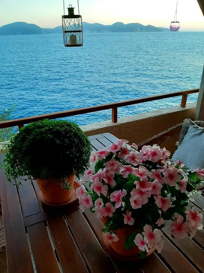 Cavos Inn Apartments Kefalonia Asos 0*,  Greece